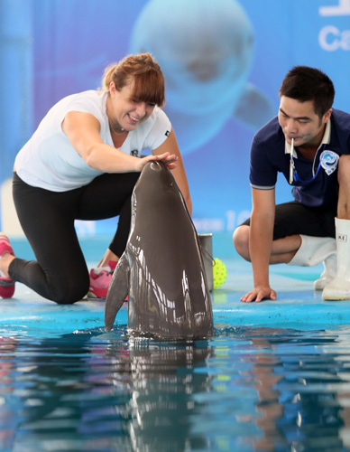 有优势，巴萨最后11场西甲比赛中7场是在主场作战.