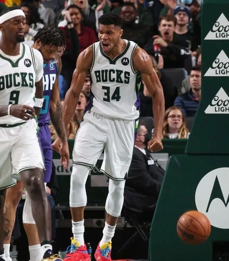 伤病窗口的 伤病窗口的